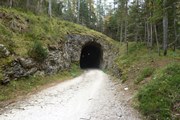 (südtirol, 16.10.2014)