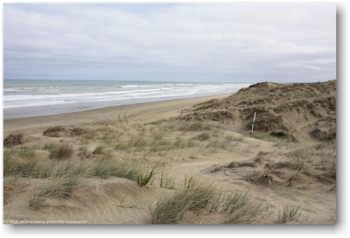 kueste an der 90 mile beach