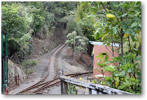 switch (weiche) bei reversing point (wendestelle) der driving creek railroad bei coromandel