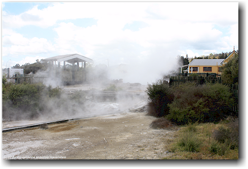 whakarewarewa village in rotorua