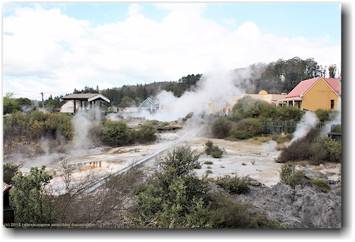 whakarewarewa village in rotorua