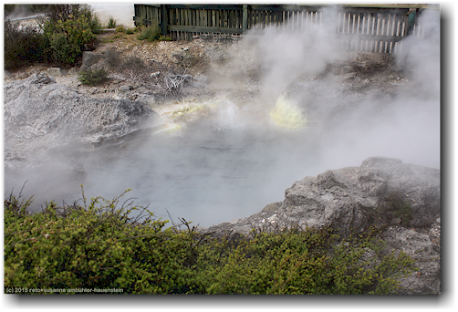 dampfende, heisse quelle im whakarewarewa village in rotorua