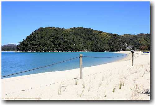 sandstrand in der torrent bay im abel tasman national park
