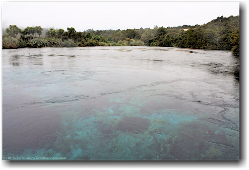 te waikoropupu springs