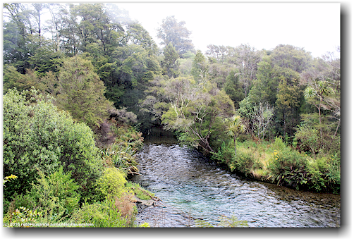 fluss in den te waikoropupu springs