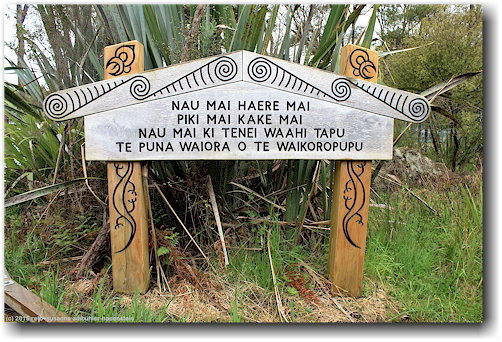 schild zu den te waikoropupu springs