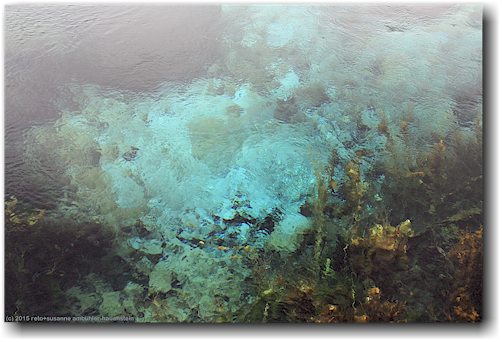 blick in die tiefen der te waikoropupu springs