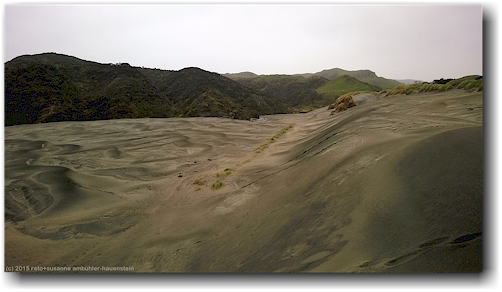 sandduenen an der wharariki beach beim puponga farm park