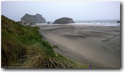 sandduenen und archway islands an der wharariki beach beim puponga farm park