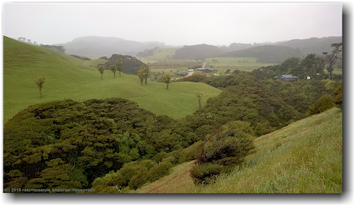 wharariki im puponga farm park