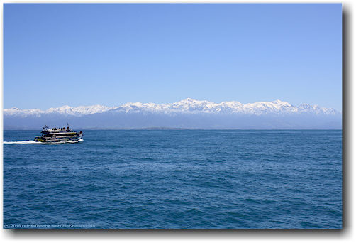 whale watching boot in der bucht vor kaikoura