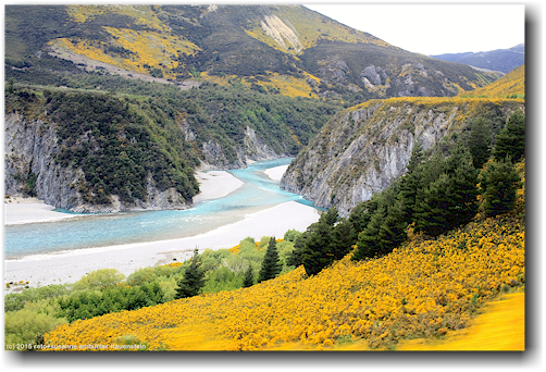 im tranzalpin unterwegs entlang des waimakariri river von christchurch nach arthur's pass