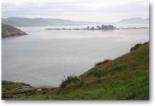 blick vom royal albatross centre bei dunedin auf den otago harbour