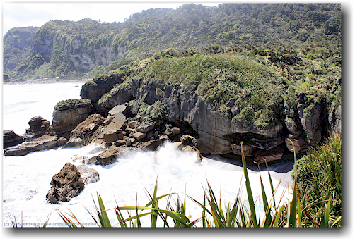 kueste bei den pancake rocks