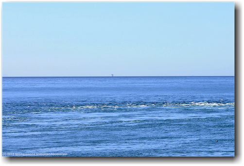 schiff in der cook strait
