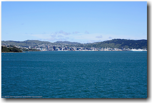 wellington
