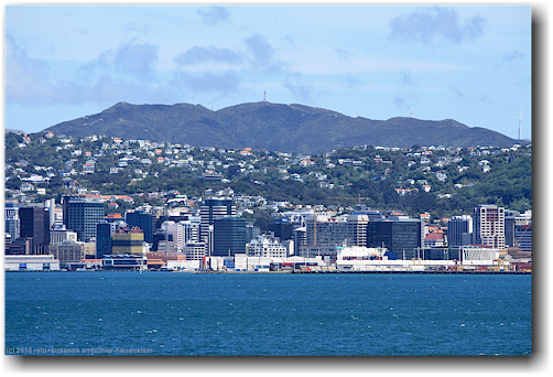 wellington