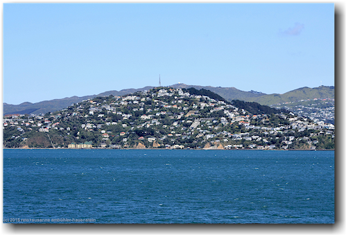 wellington