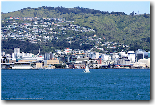 wellington