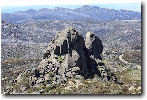 blick von "the hump" auf die markante gesteinsformation "the cathedral" im mount buffalo national park