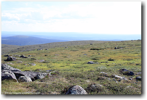 aussicht vom stora toppen des dundret bei gaellivare