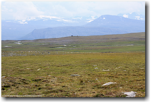 huetten abseits des kungsleden bei lapsejakka im stora sjoefallets nationalpark