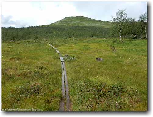 steg durch sumpflandschaft unterhalb der stokkeklippen