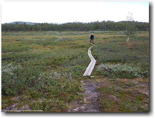 steg im kungsleden nahe des ostufers des suedlichen taernasjoen