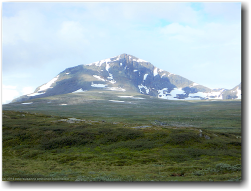 blick vom kungsleden auf den norra sytertoppen