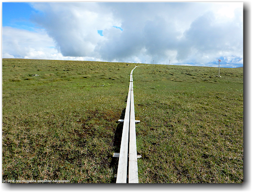 steg entlang des kungsleden durch das sumpfgebiet bei sjul-olsaxeln