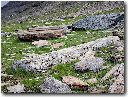 eigenartige steine im tal des vaester syterbaecken