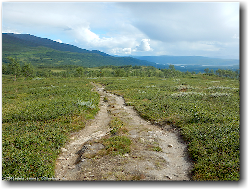kungsleden oberhalb hemavan