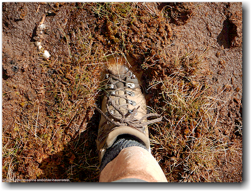 wanderschuh auf sumpfigem wanderweg
