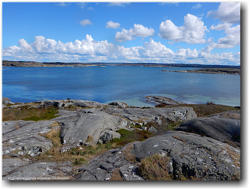 bucht bei der insel arholmen im skagerrak bei stocken