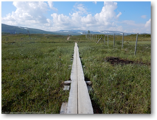 wanderweg "kalottireitti" mit rentierzaun entlang der finnisch-norwegischen grenze