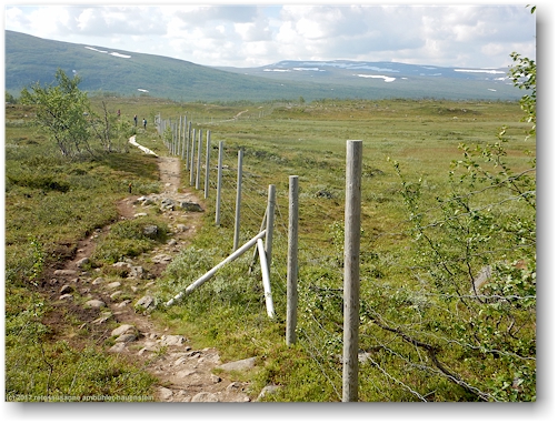 wanderweg "kalottireitti" mit rentierzaun entlang der finnisch-norwegischen grenze