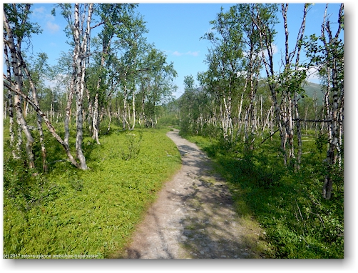wanderweg zwischen koltaluokta und dem dreilaendereck