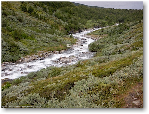 bruecke des sommerwanderweges ueber den  gohpasjohka