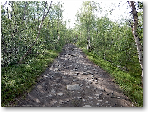 kungsleden zwischen abisko und den abiskojaurestugorna