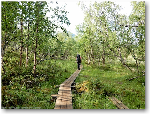 wandersteg entlang des kungsleden zwischen den abiskojaurestugorna und den alesjaurestugorna