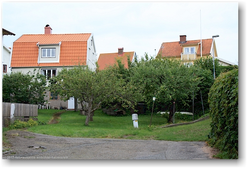 wohnhaeuser und obstgarten in fiskebaeckskil