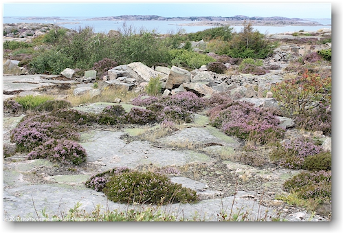 wilde felskueste am skagerrak zwischen siviks camping und lysekil