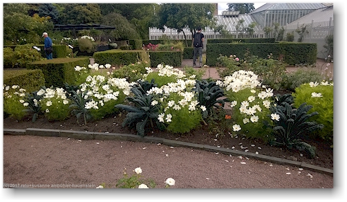 rosengarten in goeteborg
