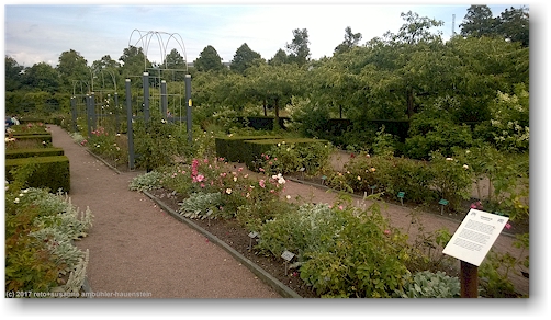 rosengarten in goeteborg