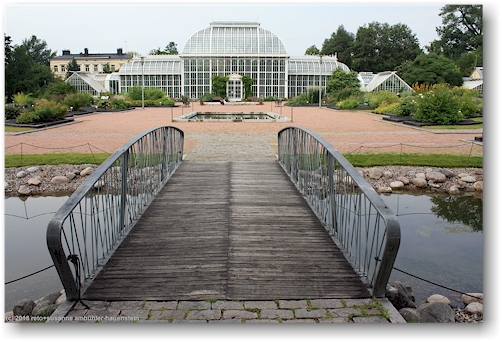bruecke im botanischen garten von helsinki