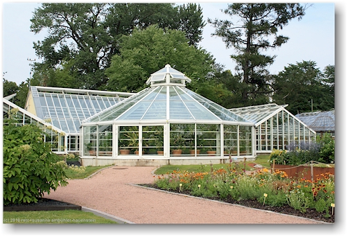 treibhaus im botanischen garten von helsinki