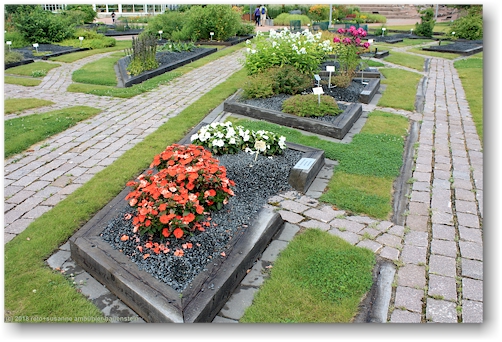 blumenbeet im botanischen garten von helsinki