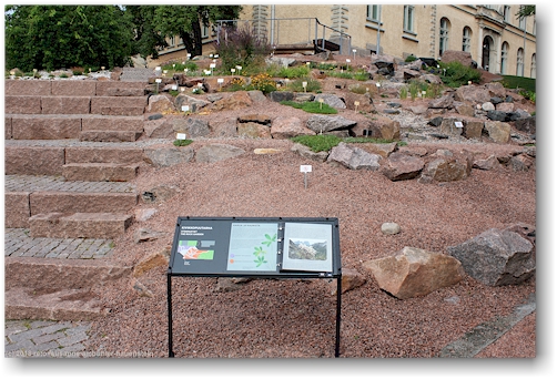 steingarten im botanischen garten von helsinki