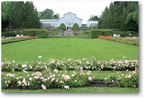 eingang zum wintergarten talvipuutarha in helsinki
