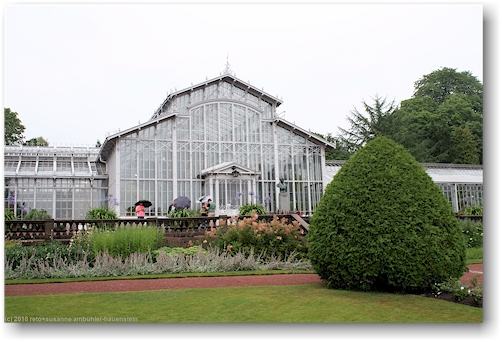 glashaus des wintergarten talvipuutarha in helsinki